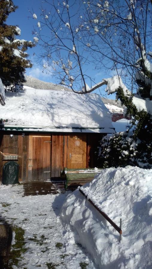 Chalet Dorfer Villa Sankt Lorenzen ob Murau Luaran gambar